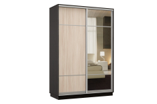 Шкафы-купе, Шкаф-купе Премьер Лайт 09 (08;11) двухдверный