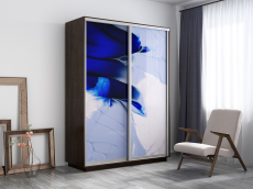 Шкафы-купе, Шкаф-купе Экспресс 1010, 140х45х220