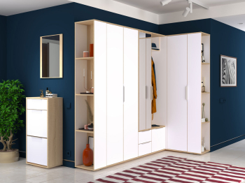 Шкаф для одежды Куба 13.137