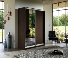 Шкафы-купе, Шкаф-купе Экспресс Медиум дуо 2200 x 1600 x 600