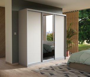 Шкаф-купе Экспресс Медиум (1 зеркало) трио 2200 x 2400 x 600