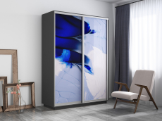 Шкафы-купе, Шкаф-купе Экспресс 1010, 120х60х240