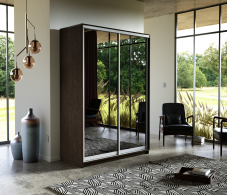 Шкафы-купе, Шкаф-купе Экспресс Экспенс дуо 2400 x 1600 x 600