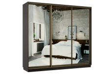 Шкафы-купе, Шкаф-купе Премьер 55 Венге